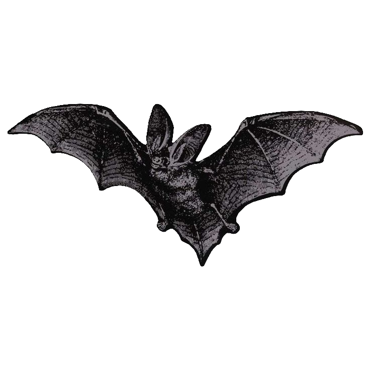 bat