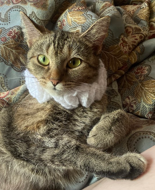 Like A Portrait