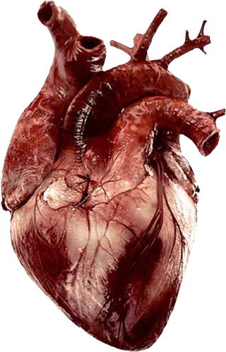 myheart